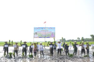 Dandim 0426/TB Letkol Kav. Delvy Marico Hadiri Kegiatan Tanam Padi di Desa Sungai Badak, Kab. Mesuji