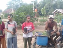 Penyerahan Bibit Avokad, Cabai, dan Terong oleh Kepala Kampung Bakung Rahayu kepada Masyarakat