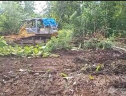 SWI Gelorakan Ekonomi Hijau Jelang Munas 2026 Lewat Program Tanam Tebu di Madiun